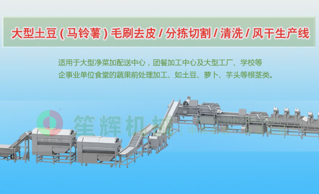 沈丘连续式土豆去皮清洗切割风干生产线